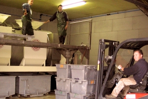 Champagne Dominique Papelard - 